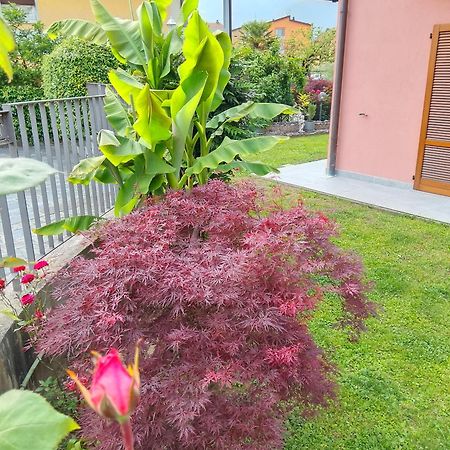 Doris' Home Pisogne Kültér fotó