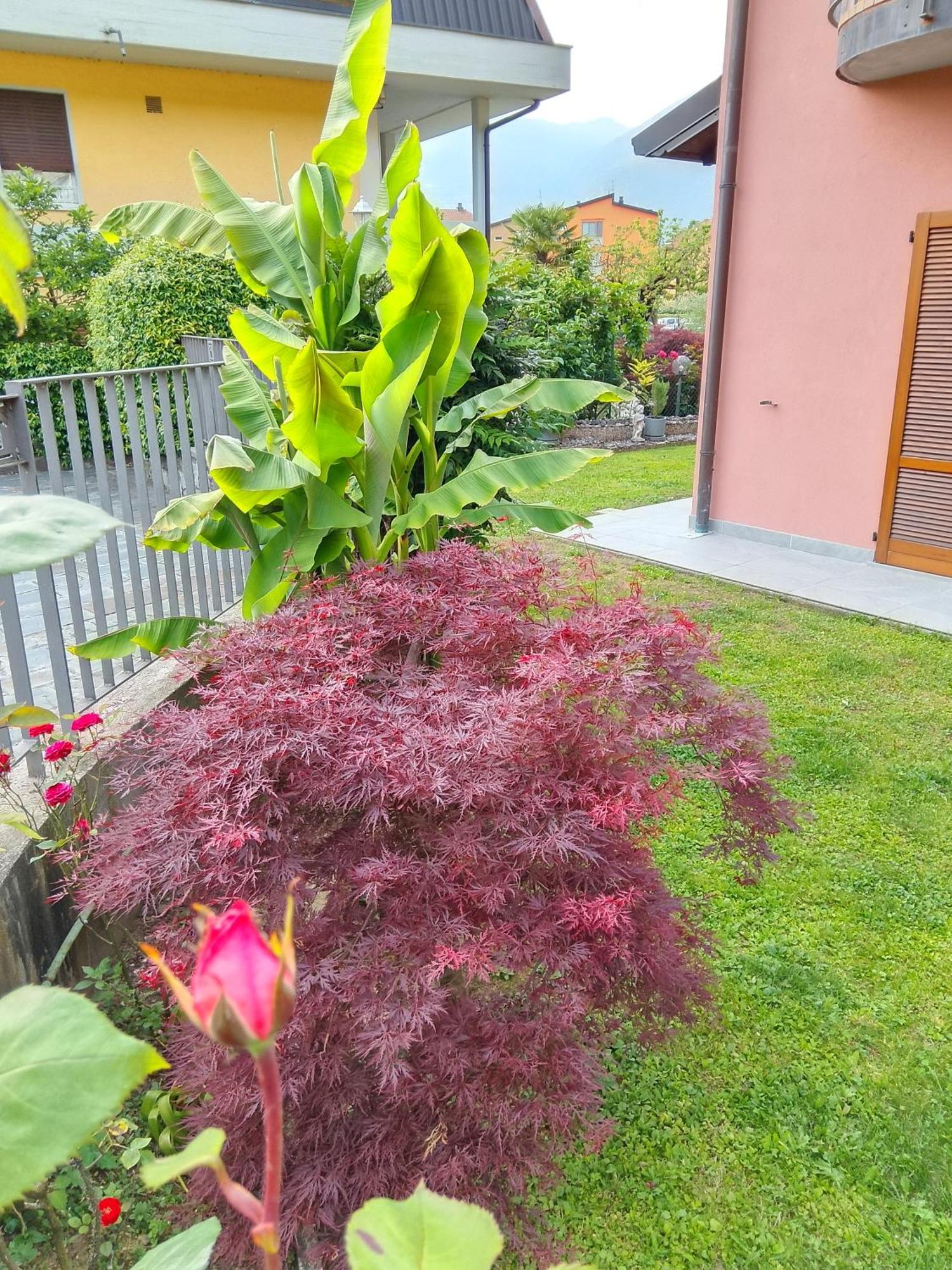 Doris' Home Pisogne Kültér fotó